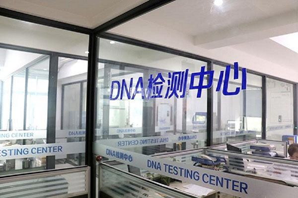 江西DNA检测到哪里做便宜又靠谱（推荐经济实惠可信赖的DNA检测机构） 
